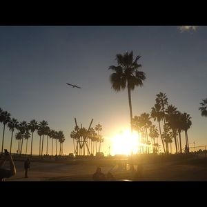 Meet your Posher, Trev